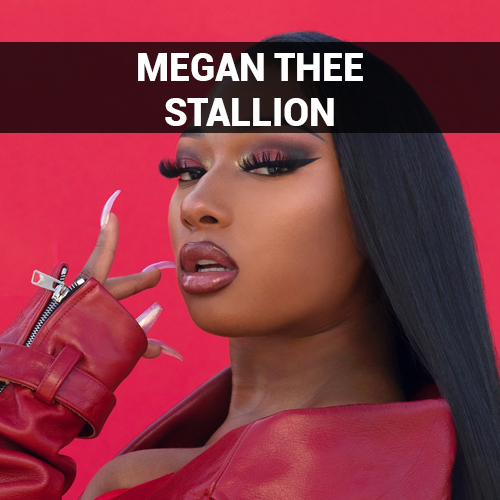 Meg Thee Stallion